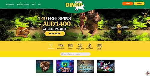 Casino Dingo Review