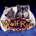 Wolf Run Online Pokie Review