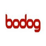 Bodog88 Casino Review