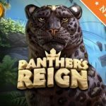 Panther’s Reign Online Pokie Review
