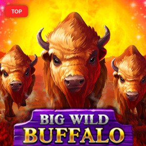 Big Wild Buffalo