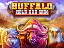 buffalo hold and win_booming