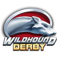 play 'n go wildhound derby pokie