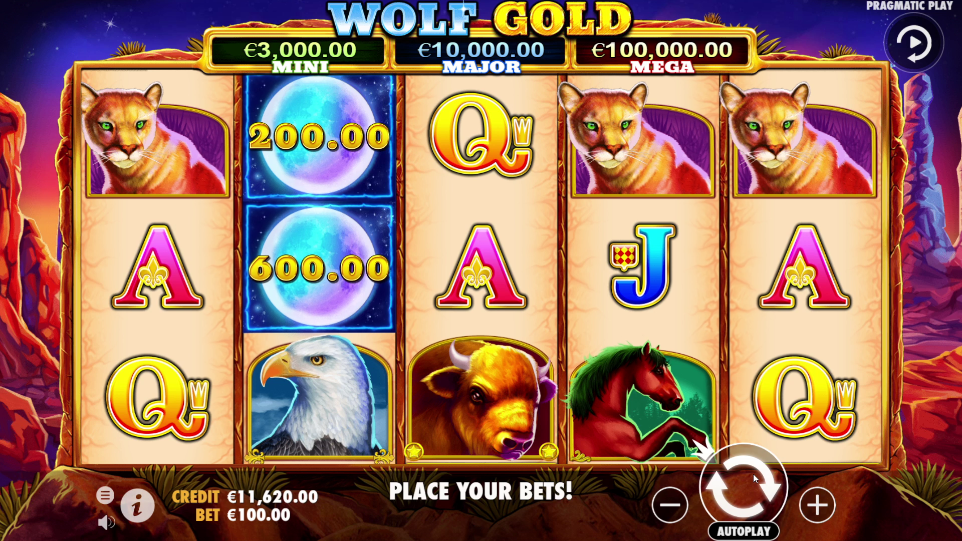 Wolf Gold Game Play