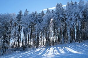 Switzerland snow